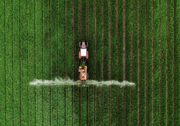 Fertiliser Action Plan